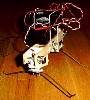 Robot Pic