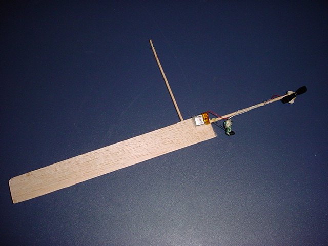 Ron Jesme's Monocopter Mini