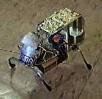 Robot Pic