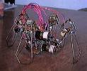 Robot Pic